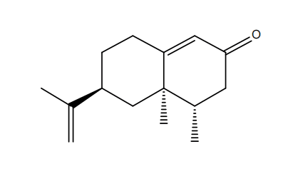 圓柚酮.png